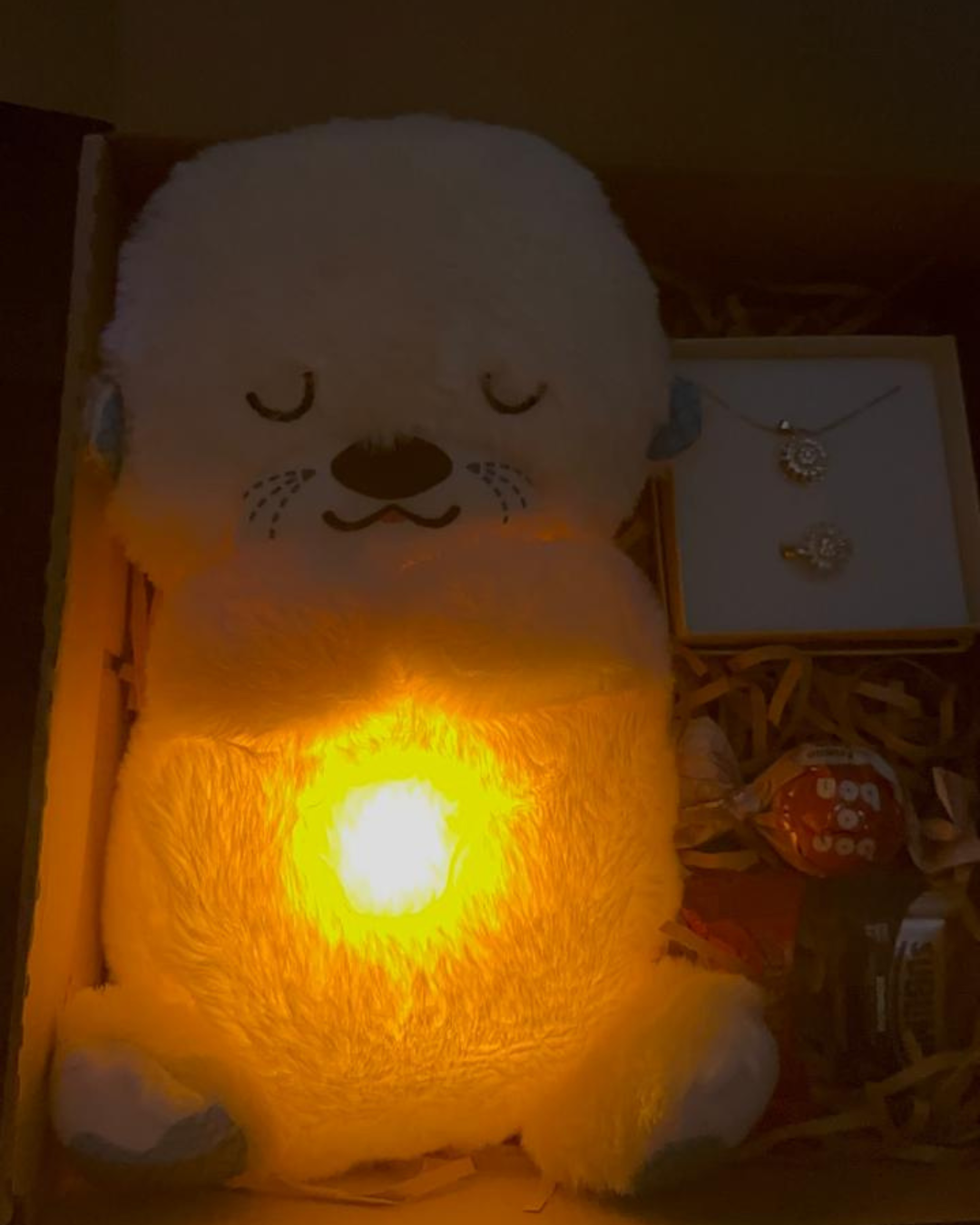 Combo Nutria – Peluche Decorativo + Collar + anillo Giratorio